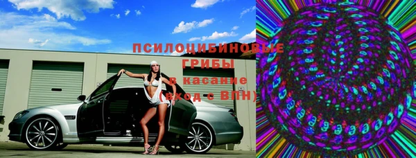 PSILOCYBIN Алексеевка