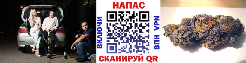 МЕГА зеркало  Курлово  Каннабис марихуана 